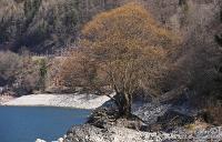 058 Lago di Molveno